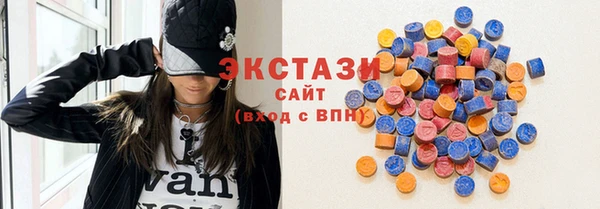 индика Вязьма