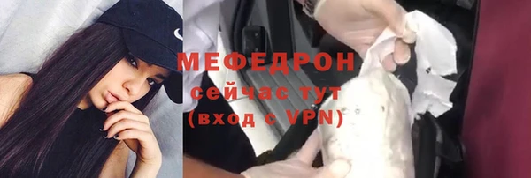 индика Вязьма
