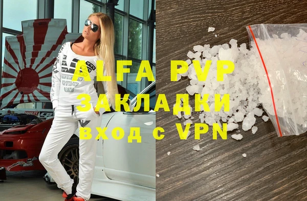 индика Вязьма