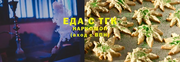индика Вязьма