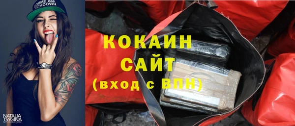 индика Вязьма