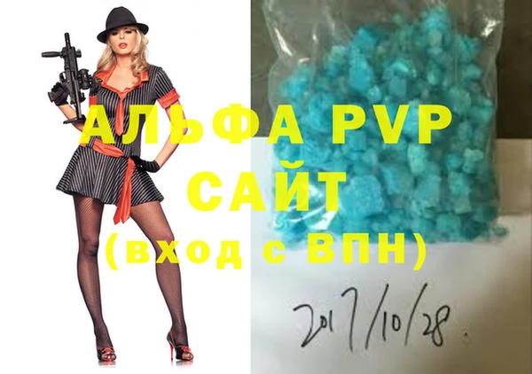 индика Вязьма
